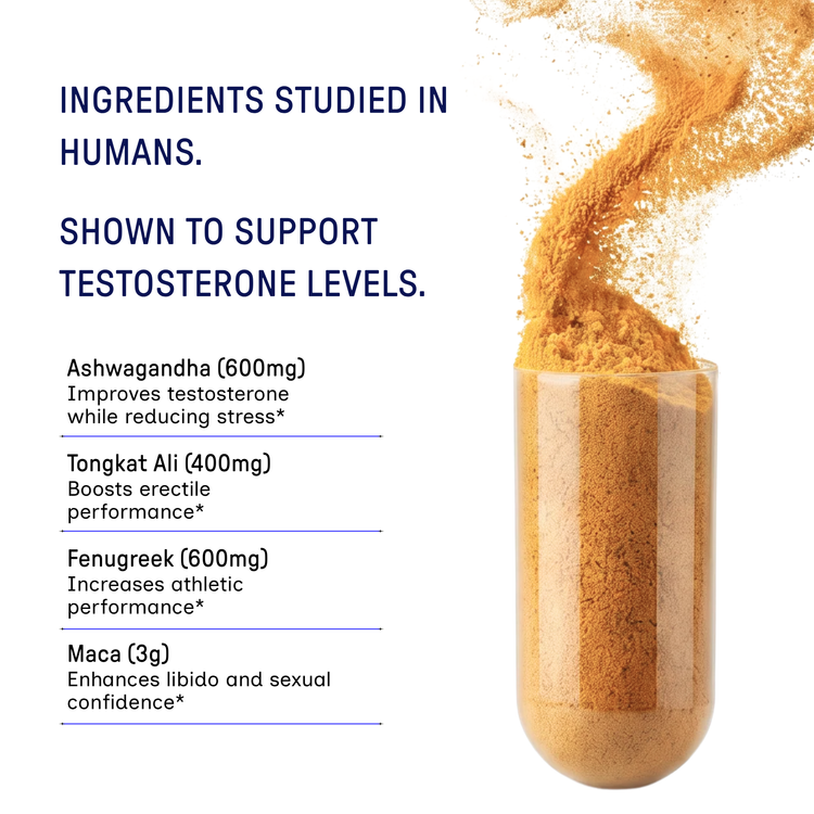 Testosterone Support