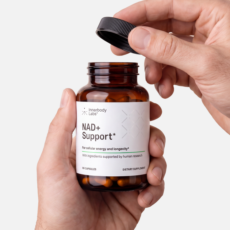 Innerbody Labs