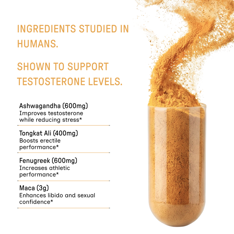 Testosterone Support