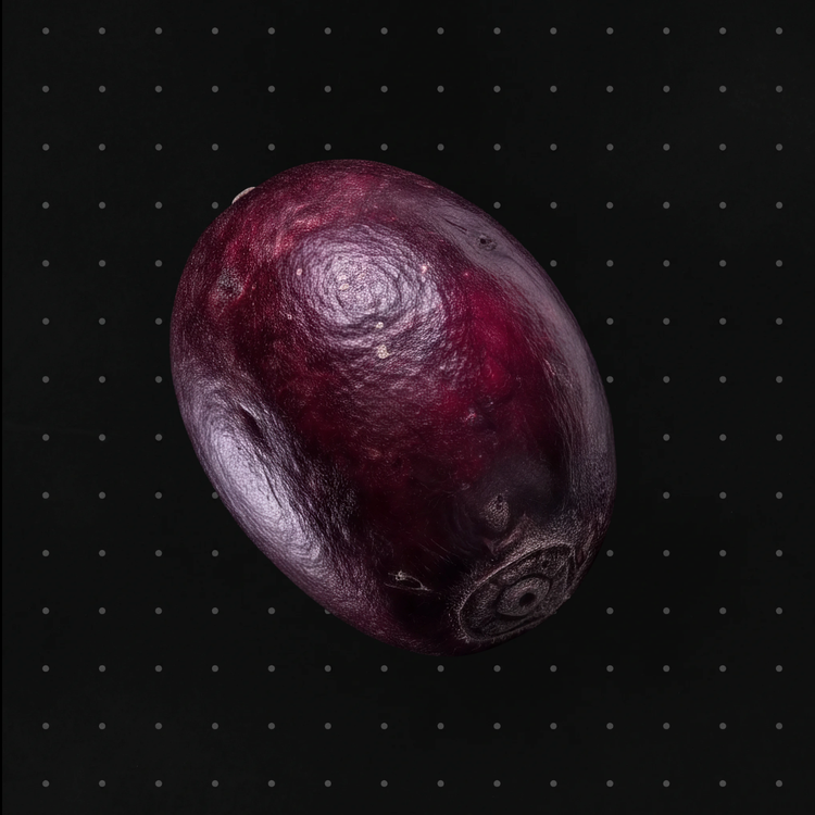 Innerbody Labs